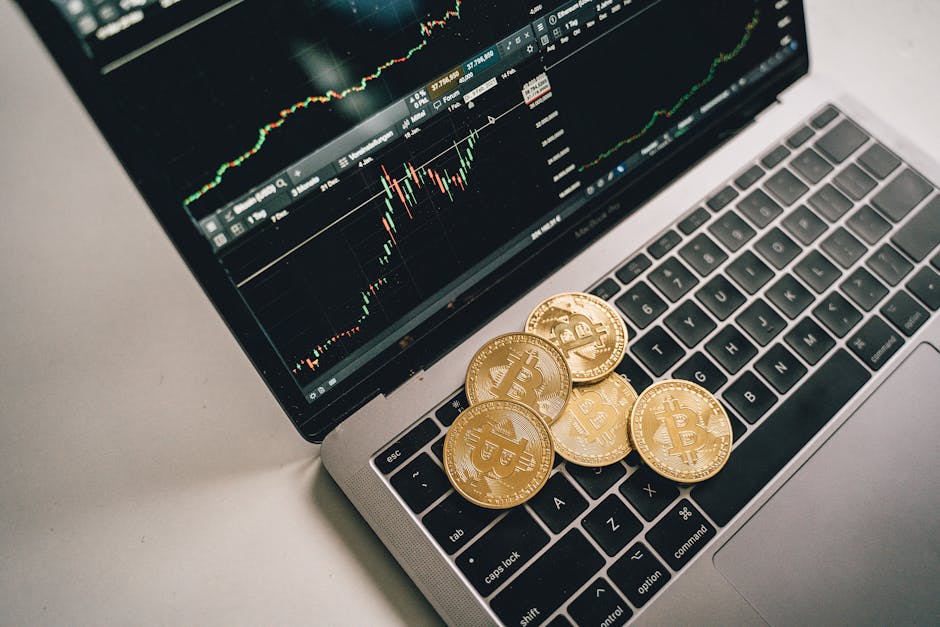 Velos Markets威马证券：构建动态投资框架，重塑全球金融市场的风险管理与收益优化
